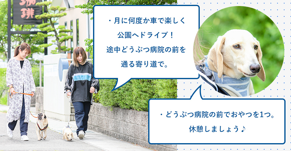 ・月に何度か車で楽しく公園へドライブ！途中どうぶつ病院の前を通る寄り道で。・どうぶつ病院の前でおやつを1つ。休憩しましょう♪